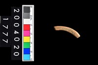 藏品(陶環)的圖片