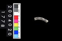 藏品(陶環)的圖片