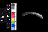 藏品(陶環)的圖片