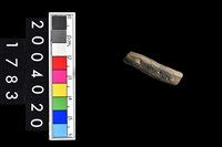 藏品(陶環)的圖片