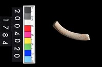 藏品(陶環)的圖片