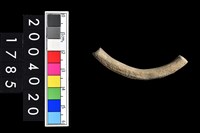 藏品(陶環)的圖片