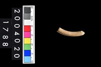 藏品(陶環)的圖片