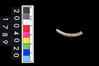 藏品(陶環)的圖片