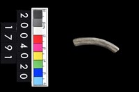 藏品(陶環)的圖片