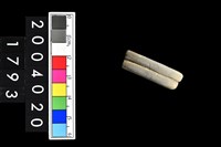 藏品(陶環)的圖片