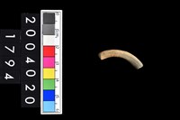 藏品(陶環)的圖片