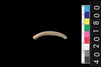 藏品(陶環)的圖片