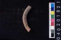 藏品(陶環)的圖片