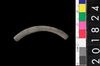 藏品(陶環)的圖片