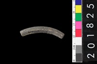 藏品(陶環)的圖片