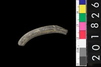 藏品(陶環)的圖片