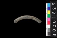 藏品(陶環)的圖片