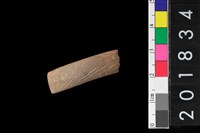 藏品(陶環)的圖片