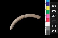 藏品(陶環)的圖片