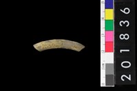 藏品(陶環)的圖片