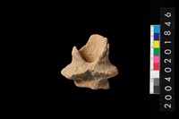 藏品(陶罐)的圖片