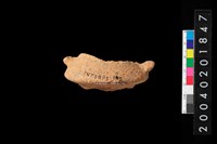 藏品(罐底)的圖片