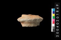 藏品(罐底)的圖片