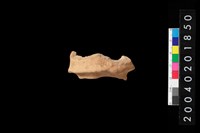 藏品(罐底)的圖片