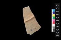 藏品(腹片)的圖片