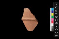 藏品(腹片)的圖片