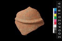 藏品(腹片)的圖片