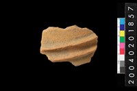 藏品(腹片)的圖片