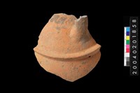 藏品(腹片)的圖片