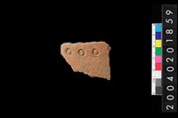 藏品(腹片)的圖片