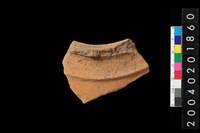 藏品(腹片)的圖片