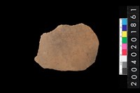 藏品(腹片)的圖片