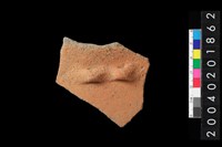 藏品(腹片)的圖片