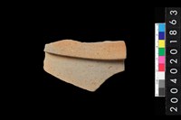 藏品(腹片)的圖片