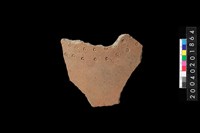 藏品(腹片)的圖片