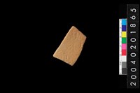 藏品(腹片)的圖片