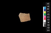 藏品(腹片)的圖片