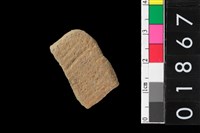 藏品(腹片)的圖片