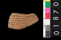 藏品(腹片)的圖片