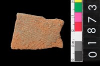 藏品(腹片)的圖片