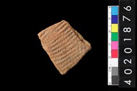 藏品(腹片)的圖片