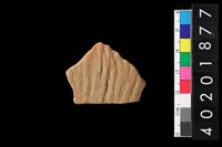 藏品(腹片)的圖片