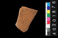 藏品(腹片)的圖片