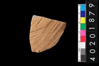 藏品(腹片)的圖片