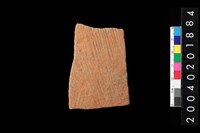 藏品(腹片)的圖片