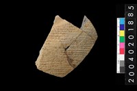 藏品(腹片)的圖片