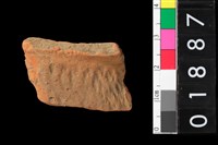 藏品(腹片)的圖片