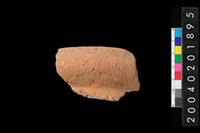 藏品(罐口緣殘件)的圖片