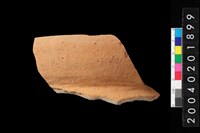 藏品(罐口緣殘件)的圖片