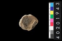 藏品(口緣殘件)的圖片